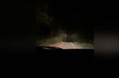 不顧警告!他「山路開一半」 驚見恐怖畫面:一次就夠