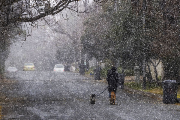 ▲▼南非約翰尼斯堡（Johannesburg）罕見降雪，11年來首見。（圖／達志影像／美聯社）