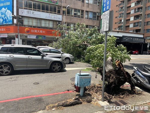 ▲▼台中路樹突然倒塌壓毀四車，目前鋸樹清除中。（圖／民眾提供，下同）