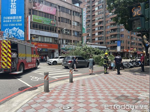 ▲▼台中路樹突然倒塌壓毀四車，目前鋸樹清除中。（圖／民眾提供，下同）