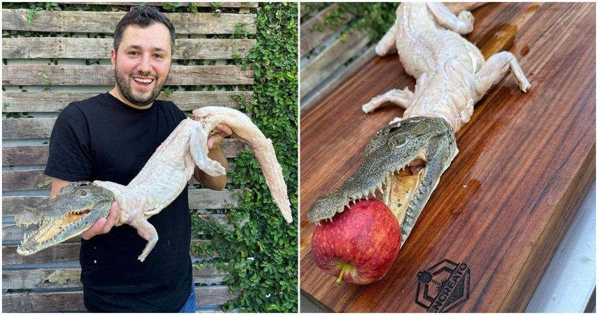 墨西哥網紅廚師「火烤鱷魚」惹議　最重恐吃9年牢飯 | ETtoday國際