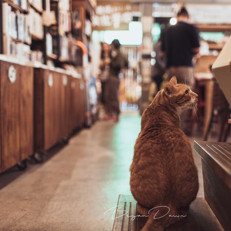 ▲▼文化部獎勵實體書店，將接力舉行創新「書展市集」。（圖／文化部提供）