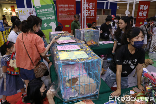 ▲▼ 0715 scoop away貓砂 x 流浪動物花園協會送養會。（圖／記者黃克翔攝）