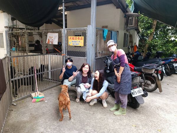 ▲江小姐一家在動物之家與阿桃相處過後便決定帶牠回家。（圖／新北市動保處提供）