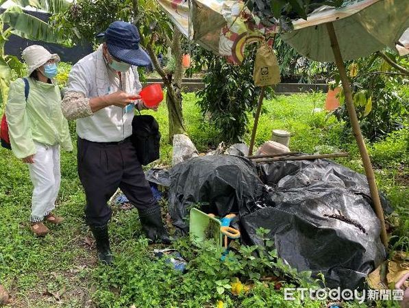 ▲雲林縣本土登革熱確診案例連日暴增，已累計累計67例。（圖／記者蔡佩旻翻攝）