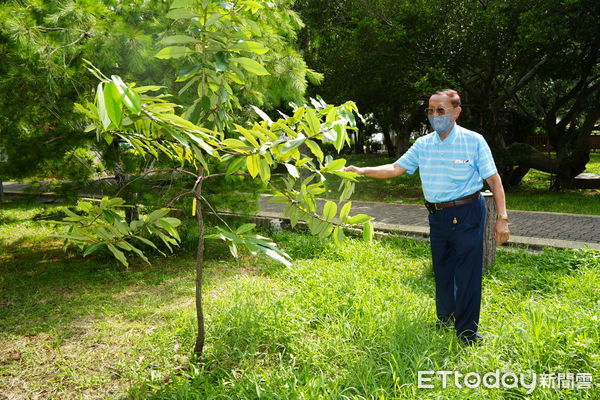 ▲南投市民簡輝茂無私奉獻照顧公園花木20年，市長張嘉哲親頒榮譽市民證書。（圖／南投市公所提供）