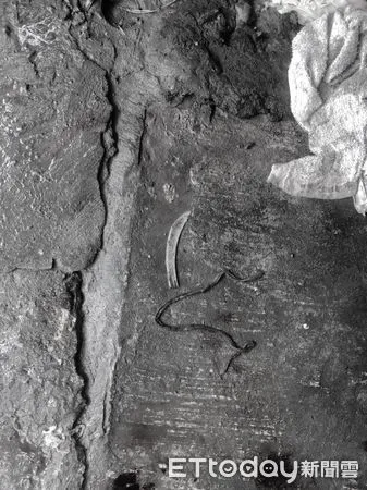 ▲南港區東新街菜園發生情侶砍殺案，警方事後查扣兇刀並逮捕吳男。（圖／記者張君豪翻攝）