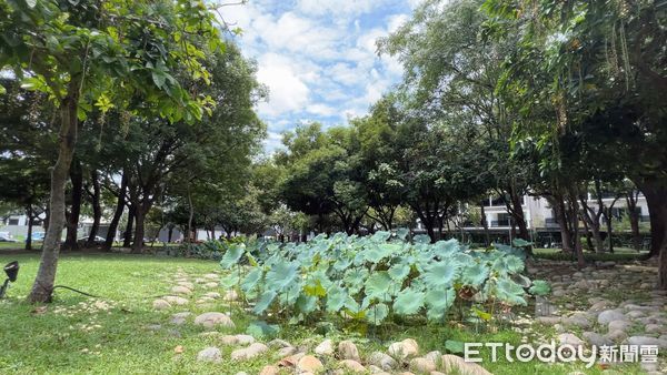 ▲▼台中北屯區,南十期重劃區,景賢公園。（圖／記者姜國輝攝）