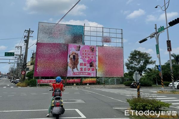 ▲員林出現「巨無霸狗頭」廣告看板　她騎近看超溫馨：以為在賣房子。（圖／目擊民眾周意茹提供）