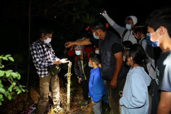 台江處將舉辦外來入侵種亞洲錦蛙防治教育宣導活動。（台江處提供）