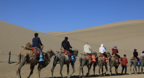 ▲敦煌月牙泉景區內的騎乘駱駝體驗活動。（圖／翻攝大象新聞）