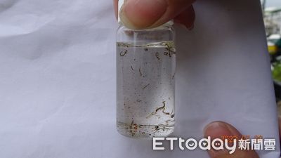 防登革熱蔓延!環保單位假日孳清 動員355人次