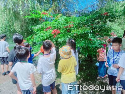 埔里鯉魚潭堅持8年蝴蝶復育　1.6萬株蜜源植物打造生態風景區