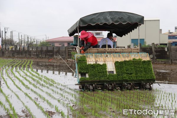 ▲颱風逼近，農糧署籲農友預先防範。（圖／農糧署提供）