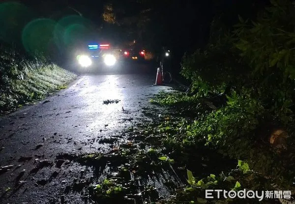 ▲受到連日大雨及強風，龍潭山區道路邊坡大樹傾倒橫躺路中。（圖／龍潭警分局提供）