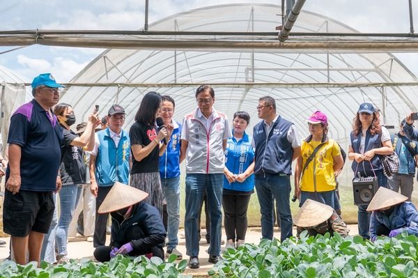 ▲杜蘇芮颱風逼近，張善政視察農區蔬菜採收