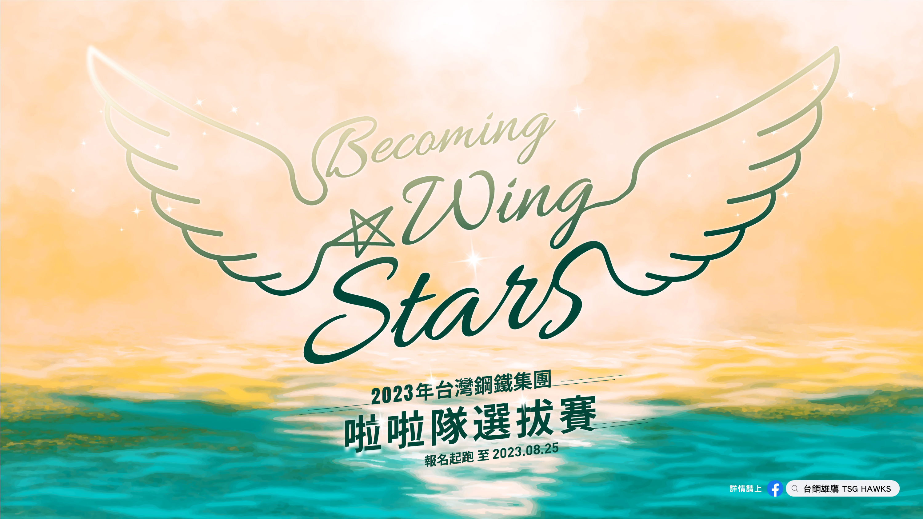▲台鋼啦啦隊「Wing Stars」徵選開跑            。（圖／台鋼雄鷹提供）