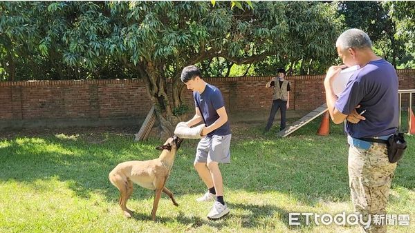 ▲▼台中警犬隊甄選1名領犬員，卻有22人報名，甄試內容不只要聞體味，看糞便形狀和顏色，有沒有狗緣也列為評分。（圖／台中警方提供，下同）