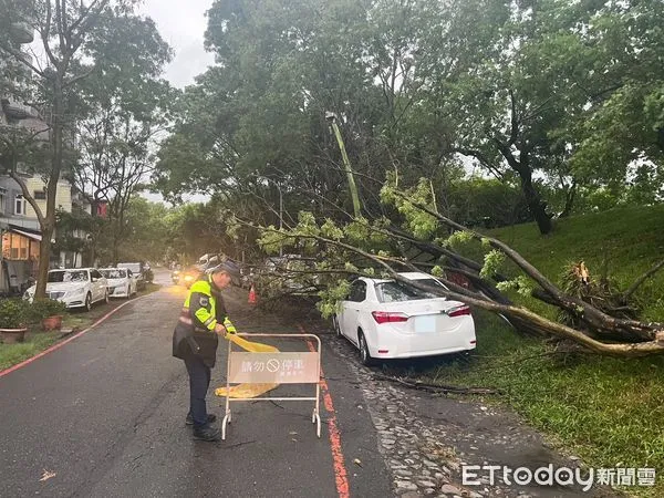 ▲▼宜蘭市環河東路與自強路上的路樹倒塌，2自小客分別慘遭砸毀。（圖／記者游芳男翻攝，下同）