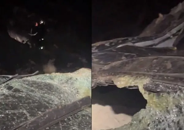 開車墜落122公尺！男爆頭受困懸崖底下　靠隨身iPhone一功能救命。（圖／翻攝自Twitter／Mike Leum）