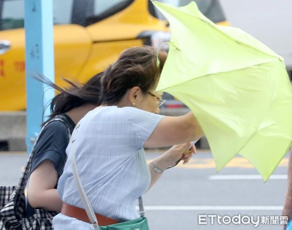 ▲▼天氣 杜蘇芮颱風 台北市颳起強陣風。（圖／記者屠惠剛攝）