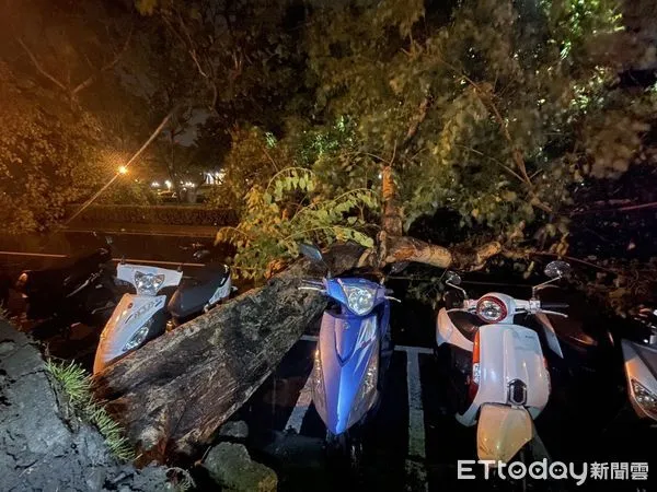 ▲▼高雄晚間多處路樹倒，圖為五福、和平路口。（圖／記者吳世龍翻攝）