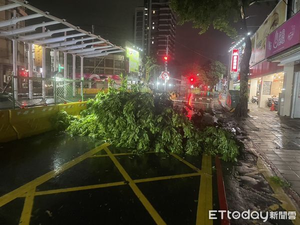 ▲前鎮民宅屋頂被吹落，大順路的輕軌工地差點被路樹砸毀             。（圖／記者吳奕靖翻攝）