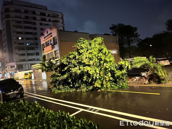 颱風杜蘇芮，台南路樹倒塌。（圖／民眾提供）