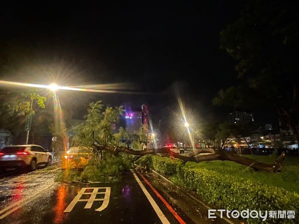颱風杜蘇芮，台南路樹倒塌。（圖／民眾提供）
