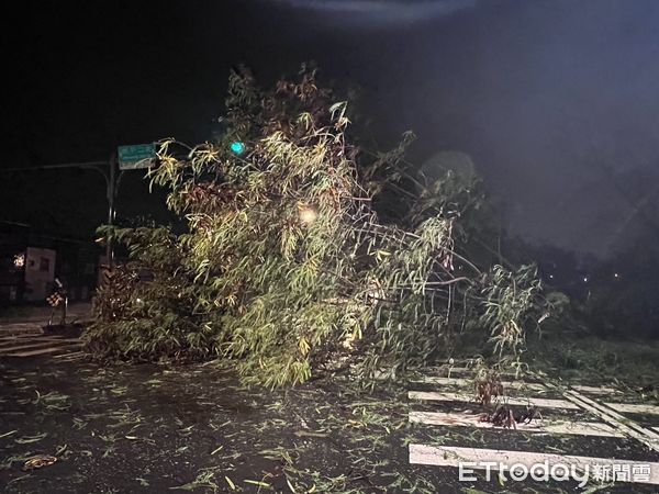 颱風杜蘇芮，台南路樹倒塌。（圖／民眾提供）