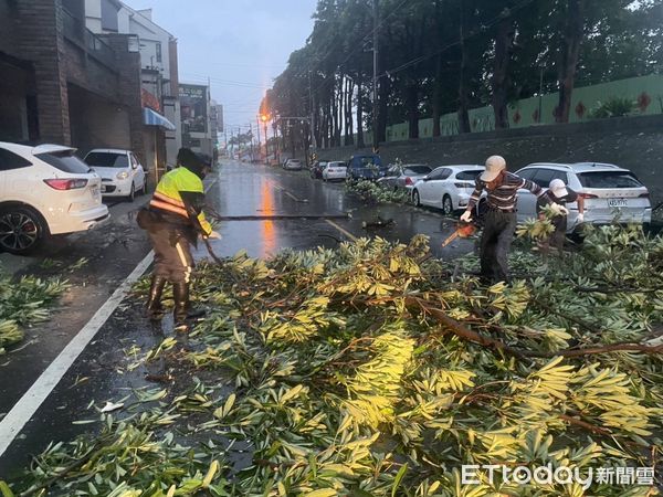 ▲受到杜蘇芮颱風影響影響，安南區多處出現路樹及廣告物倒塌情事，市警三分局員警獲報後在第一時間也立即趕到現場，並執行交通管制，並協助盡速排除倒。（圖／記者林悅翻攝，下同）