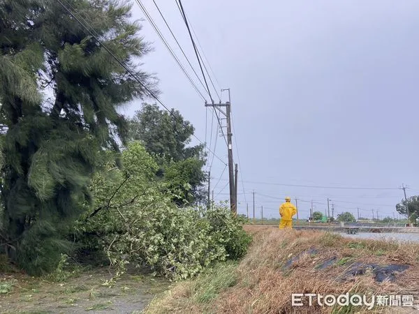 ▲▼  中度杜蘇芮颱風造成嘉義沿海地區停電5,300餘戶 台電積極搶修中    。（圖／ 台灣電力公司嘉義區營業處提供）