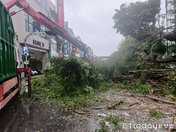 ▲杜蘇芮颱風帶來的強風，造成台南市28日凌晨0時過後，不斷傳出行道樹倒伏的案件，工務局獲報後全力動員，調派人員與機具展開移除的工作。（圖／記者林悅翻攝，下同）