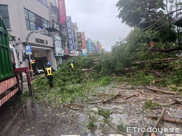 ▲杜蘇芮颱風帶來的強風，造成台南市28日凌晨0時過後，不斷傳出行道樹倒伏的案件，工務局獲報後全力動員，調派人員與機具展開移除的工作。（圖／記者林悅翻攝，下同）