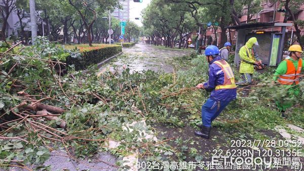 ▲▼杜蘇芮強風高雄259株路樹倒一片，上百人力徹夜搶災清運畫面曝。（圖／記者賴文萱翻攝）