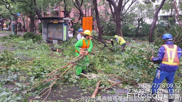 ▲▼杜蘇芮強風高雄259株路樹倒一片，上百人力徹夜搶災清運畫面曝。（圖／記者賴文萱翻攝）