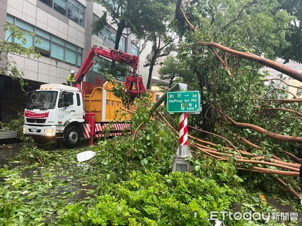 ▲▼杜蘇芮強風高雄259株路樹倒一片，上百人力徹夜搶災清運畫面曝。（圖／記者賴文萱翻攝）