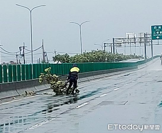 ▲受到杜蘇芮颱風影響，北港、水林及口湖鄉沿海地區起風，零星有路樹倒塌及電線掉落的災情發生。（圖／記者蔡佩旻翻攝）