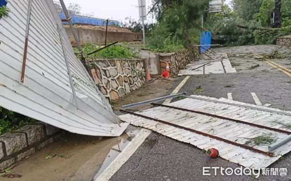 ▲▼金門受杜蘇芮影響，樹斷擋路、牛隻躲風雨累到虛脫。（圖／記者林名揚攝）