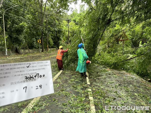 ▲中颱杜蘇芮風力強悍！計造成台南市路樹、廣告招牌，逾千件災損，市長黃偉哲要求工務局，水利局及轄管區公所等所屬單位，盡速在最短時間處理妥善。（圖／記者林悅翻攝，下同）