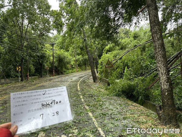 ▲中颱杜蘇芮風力強悍！計造成台南市路樹、廣告招牌，逾千件災損，市長黃偉哲要求工務局，水利局及轄管區公所等所屬單位，盡速在最短時間處理妥善。（圖／記者林悅翻攝，下同）