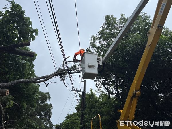 ▲台電屏東轄區搶修電力設施            。（圖／台電屏東區處提供）