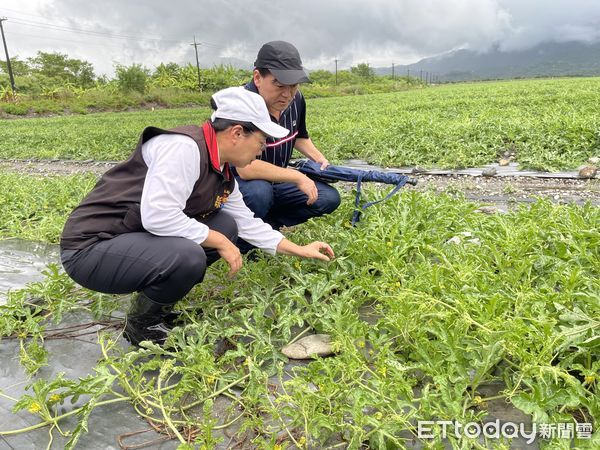 ▲▼花蓮縣長徐榛蔚第一時間會同立委傅崐萁及縣府團隊等相關單位進行災情勘察。（圖／花蓮縣政府提供，下同）