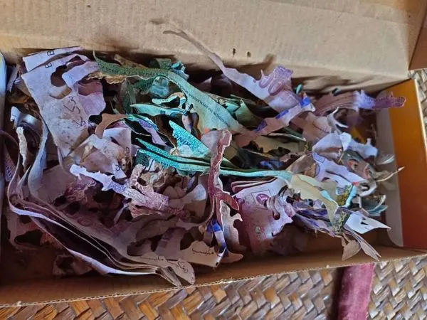 ▲▼馬來西亞一名阿嬤將20萬紙鈔放在紙盒卻慘被白蟻啃光。（圖／翻攝自Facebook）