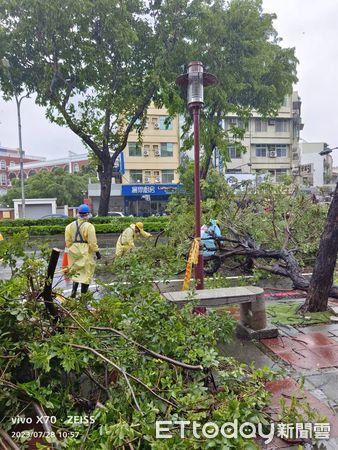 ▲中颱杜蘇芮來襲，雖造成1300餘件的路樹、號誌、電桿的傾倒及大量枝葉掉落等災情，但各區公所集全公所人力及開口契約商及全市府的努力下，傾倒路樹與枝葉垃圾的移除已陸續快速完成，還給市民乾淨安全的市容環境。（圖／記者林悅翻攝，下同）