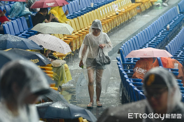 ▲▼2023中職明星賽，台中洲際棒球場現場雨勢不斷，現場仍有許多球迷持續等候比賽開打。（圖／記者李毓康攝）