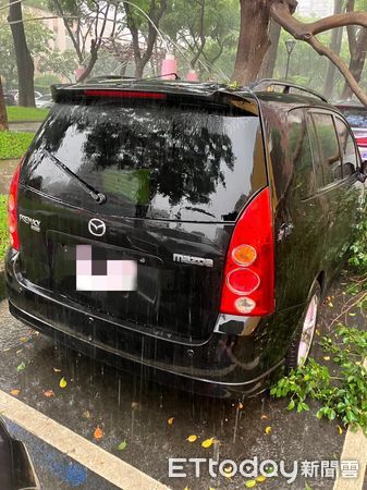 ▲▼台中市下午下起大雷雨，太原路一棵路樹壓毀休旅車。（圖／民眾提供，下同）