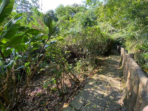 ▲舊莊社區位於南港山系，農村聚落擁有親山步道、茶園、老桂花樹、老樟樹，還有古厝等。（圖／大地處提供）