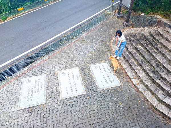 ▲舊莊社區位於南港山系，農村聚落擁有親山步道、茶園、老桂花樹、老樟樹，還有古厝等。（圖／大地處提供）