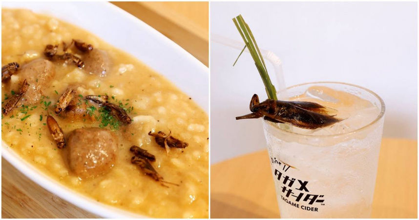 日本餐廳推蟲料理「蚱蜢燉飯、水蟑螂西打」　顧客大讚美味